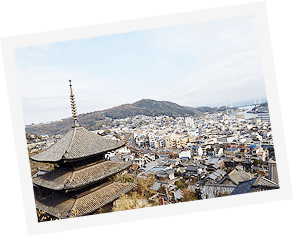 写真：手前にお寺があり、街を見下ろす沢山の家々がある風景