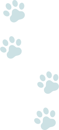 装飾：猫の足跡