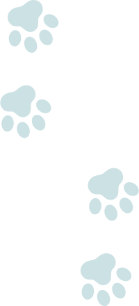 装飾：猫の足跡